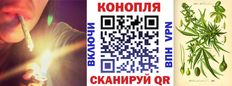 Купить закладки  Южноуральск  МАРИХУАНА SATIVA & INDICA 